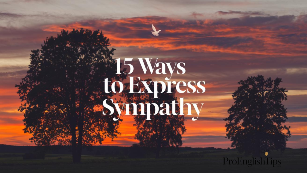 15 Ways to Express Sympathy